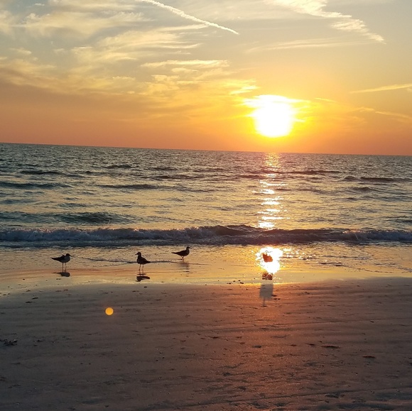 Meet your Posher, Connie - Picture 2 of 2